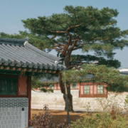 Korean courses in Seoul