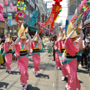 Tokyo Cultural Events in November 2024